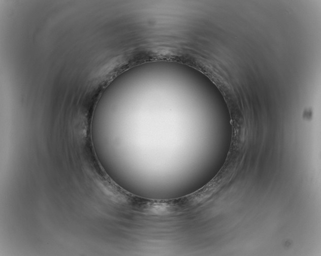 X0000091300710200708172209