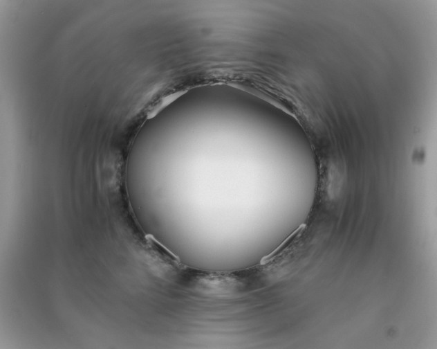 X0000091300712200708172209