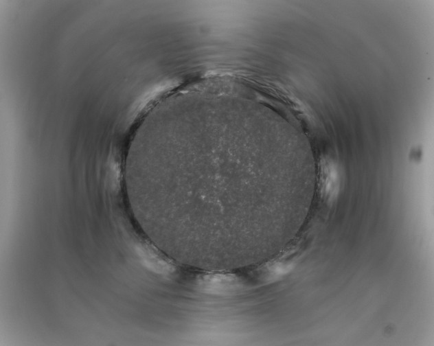 X0000091300716200708172208