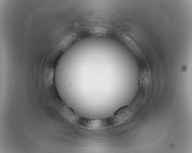 X0000091300717200708172208