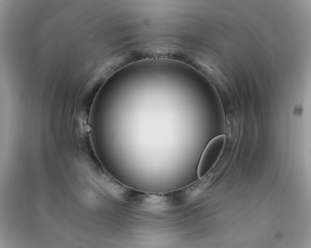 X0000091300718200708172208