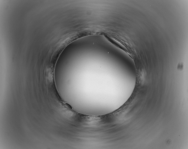 X0000091300719200708172208