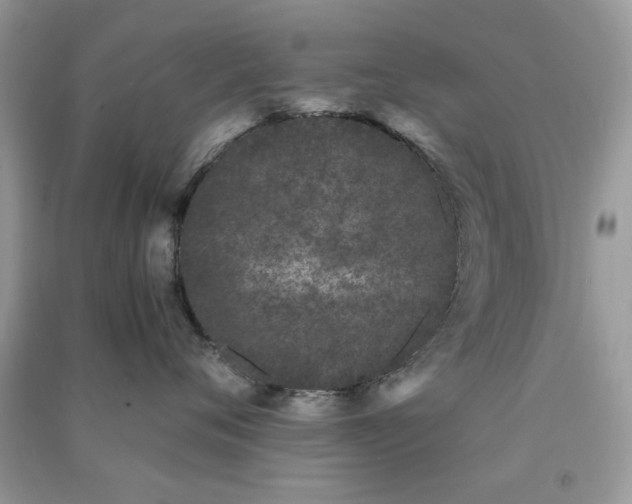 X0000091300720200708172208