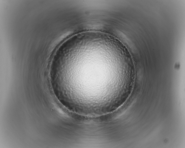 X0000091300721200708172208