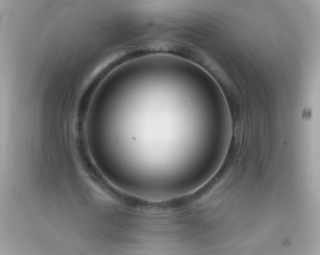 X0000091300722200708172208