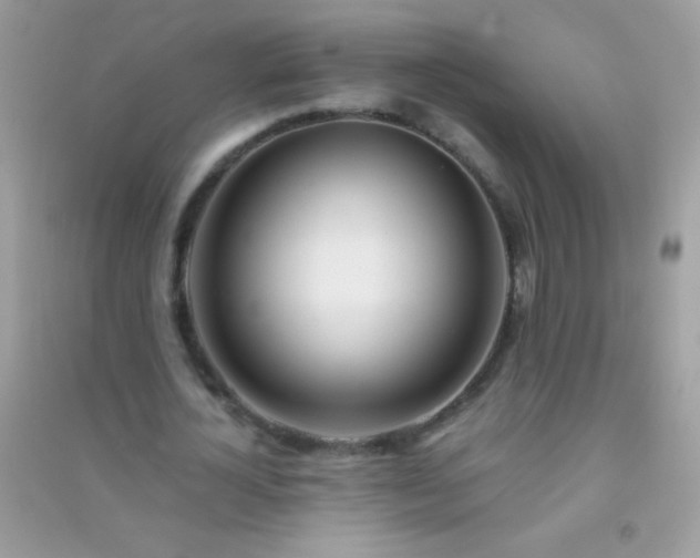 X0000091300724200708172208