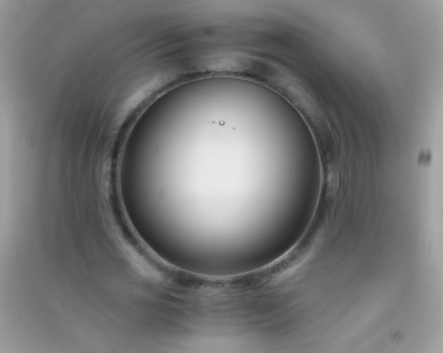 X0000091300725200708172208