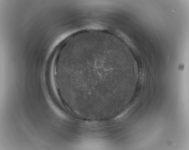 X0000091300726200708172208