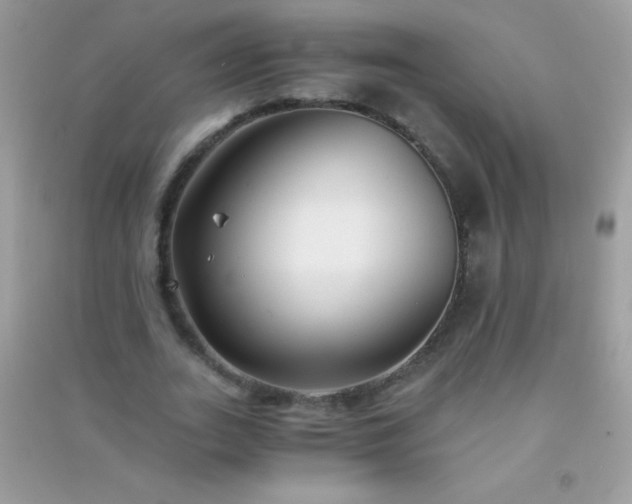 X0000091300727200708172208