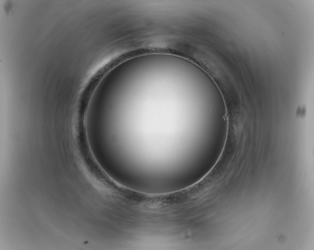 X0000091300728200708172208