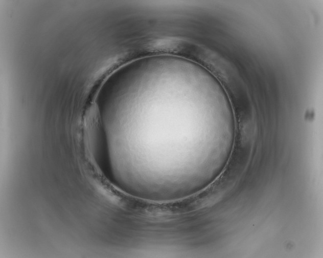 X0000091300729200708172208