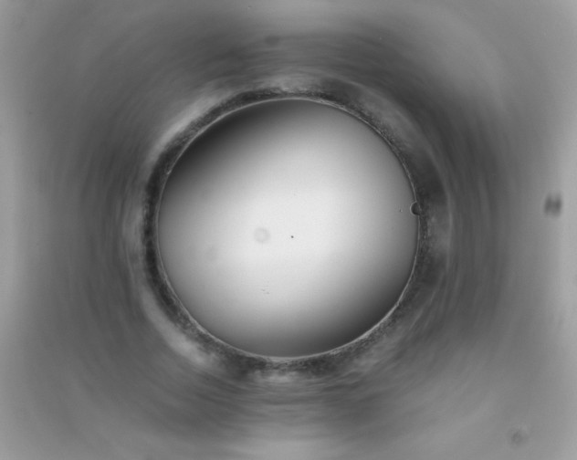 X0000091300730200708172208