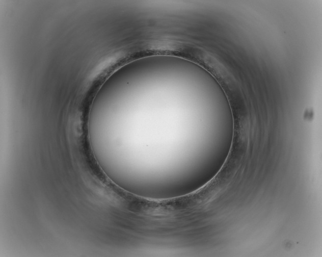 X0000091300731200708172208