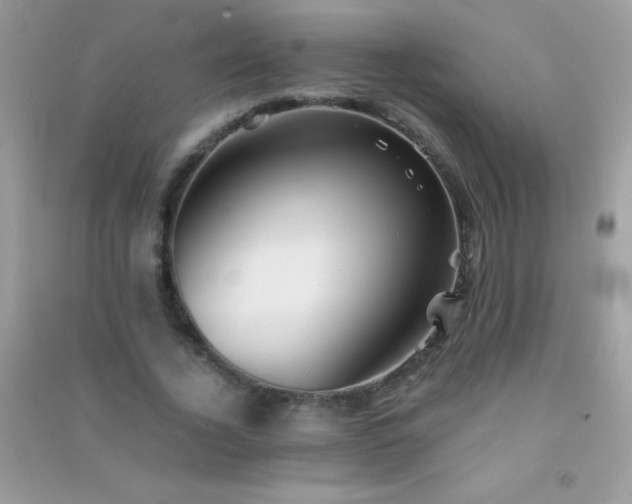 X0000091300732200708172208