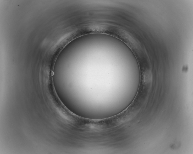 X0000091300733200708172208