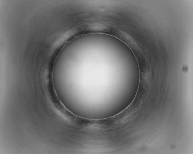 X0000091300734200708172208