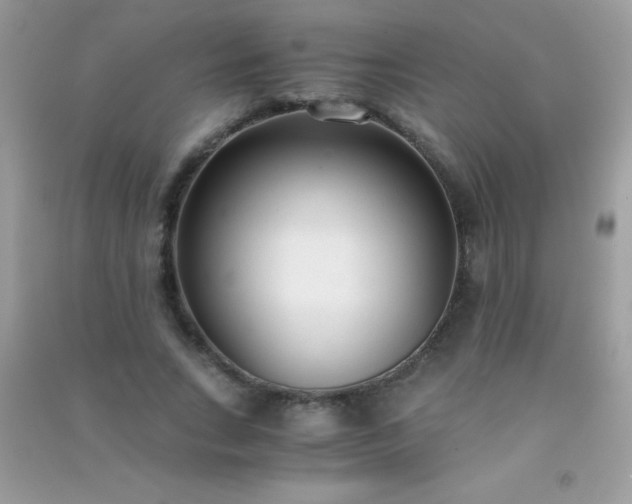 X0000091300735200708172208