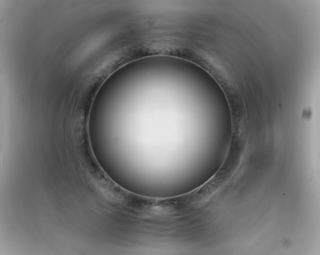 X0000091300737200708172208