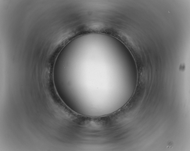 X0000091300739200708172208