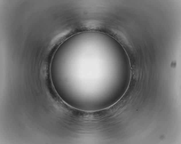 X0000091300740200708172208