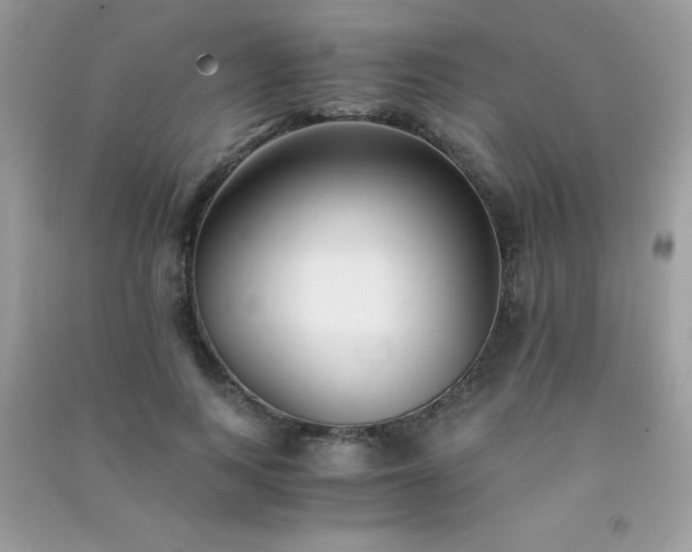 X0000091300743200708172208