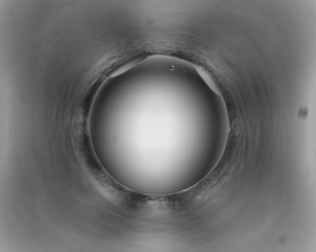 X0000091300744200708172208