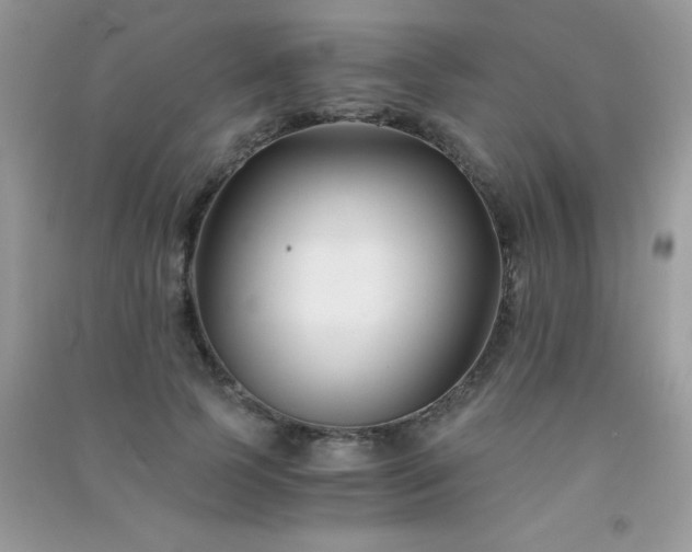 X0000091300745200708172208