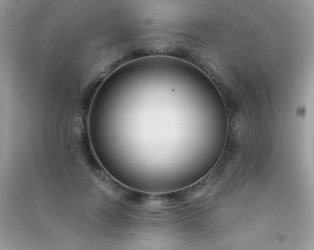 X0000091300746200708172208