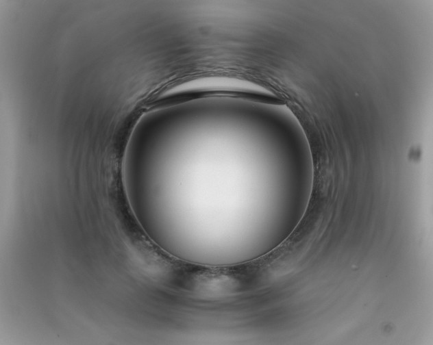 X0000091300747200708172208