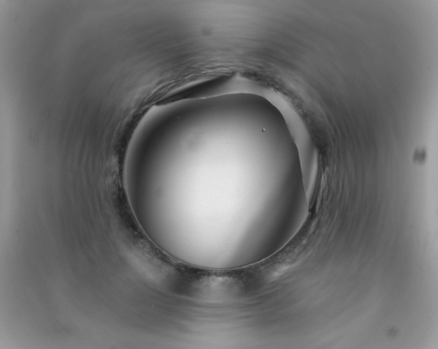 X0000091300748200708172208