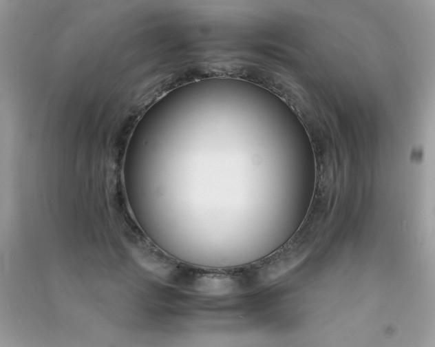 X0000091300749200708172208