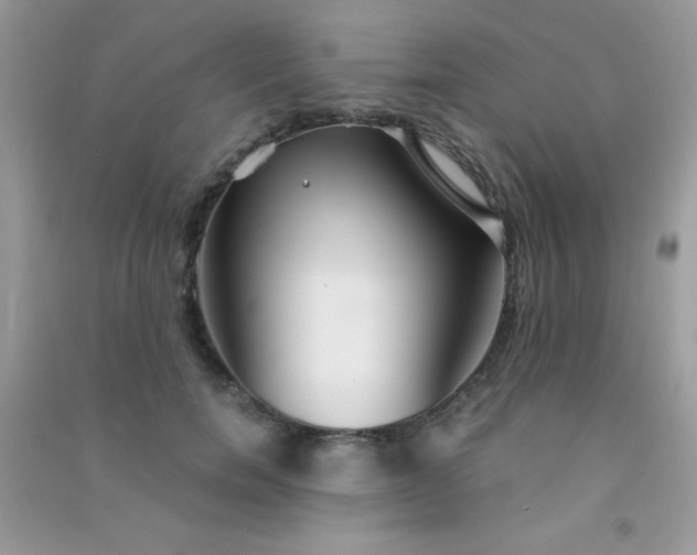 X0000091300750200708172208