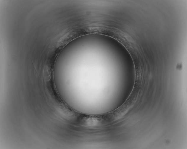 X0000091300751200708172208