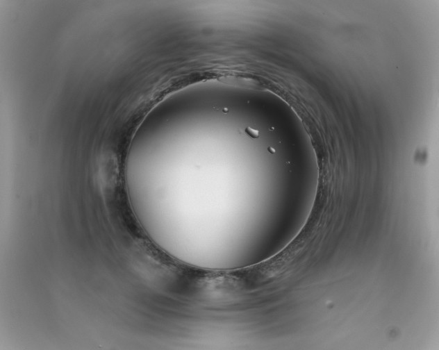 X0000091300752200708172208