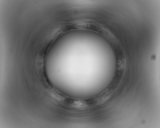 X0000091300753200708172208