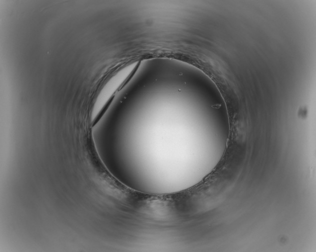 X0000091300756200708172208