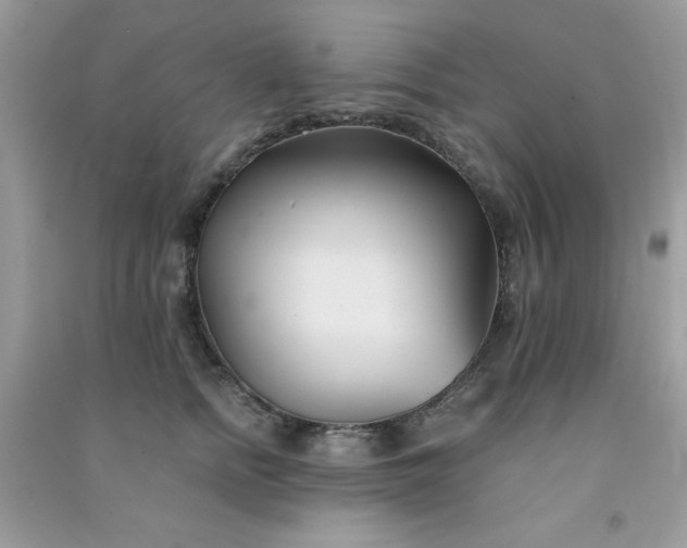 X0000091300758200708172208