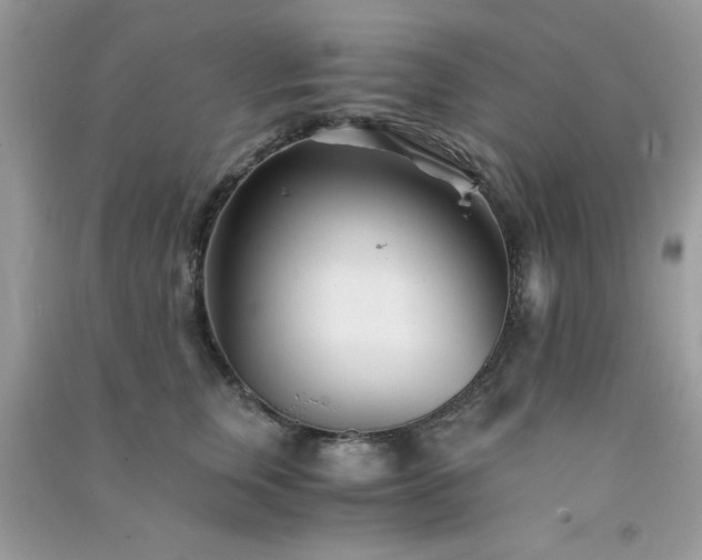 X0000091300759200708172208