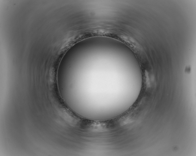 X0000091300760200708172208