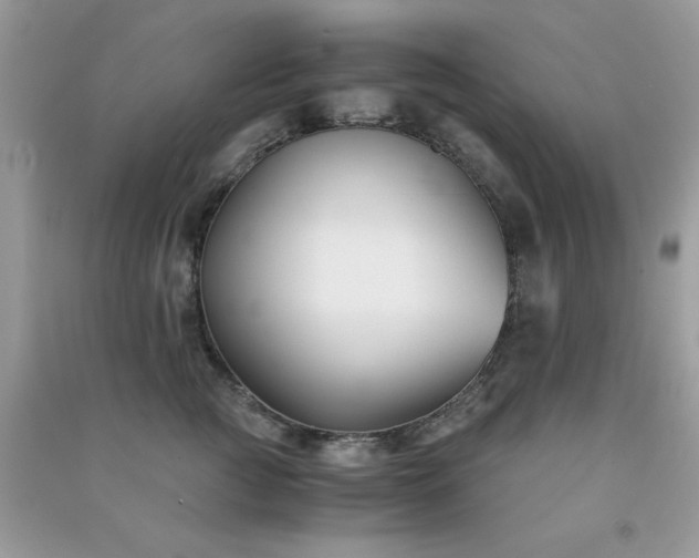 X0000091300761200708172208