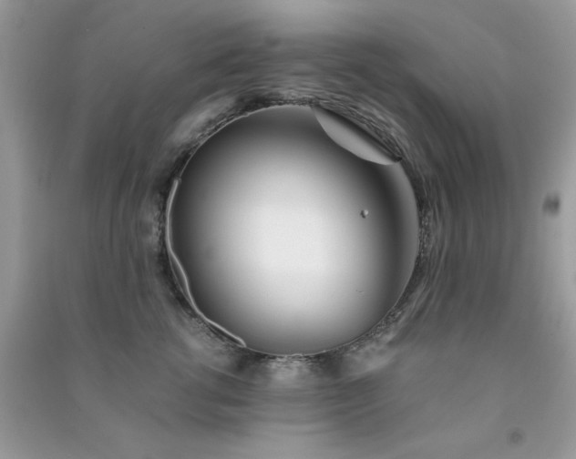 X0000091300762200708172208