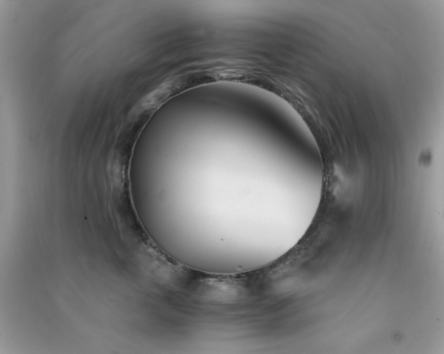 X0000091300763200708172208