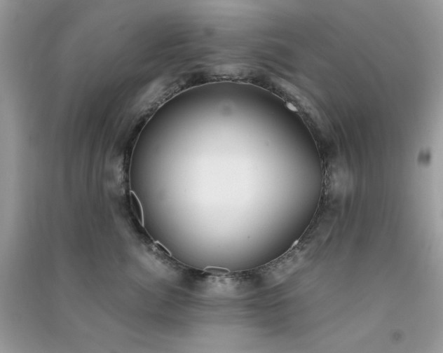 X0000091300764200708172208