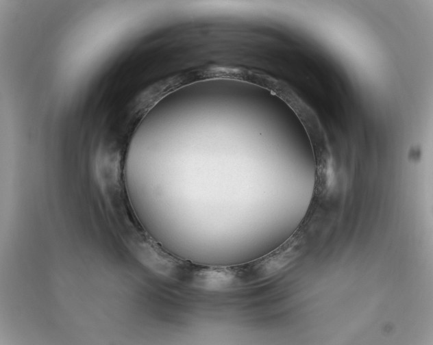 X0000091300765200708172208