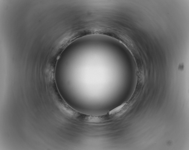 X0000091300766200708172208