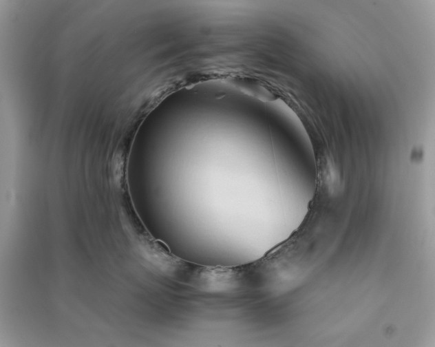 X0000091300767200708172208