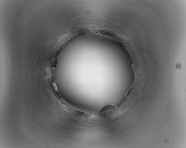 X0000091300768200708172208