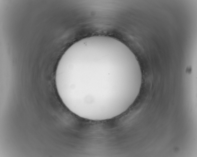 X0000091300769200708172208