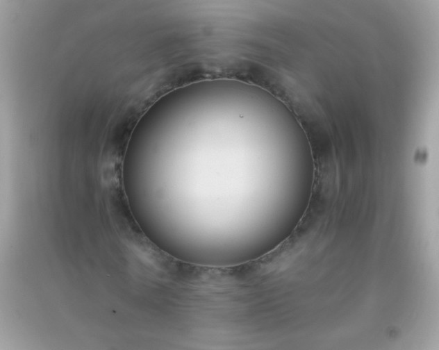 X0000091300770200708172208