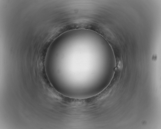 X0000091300771200708172208